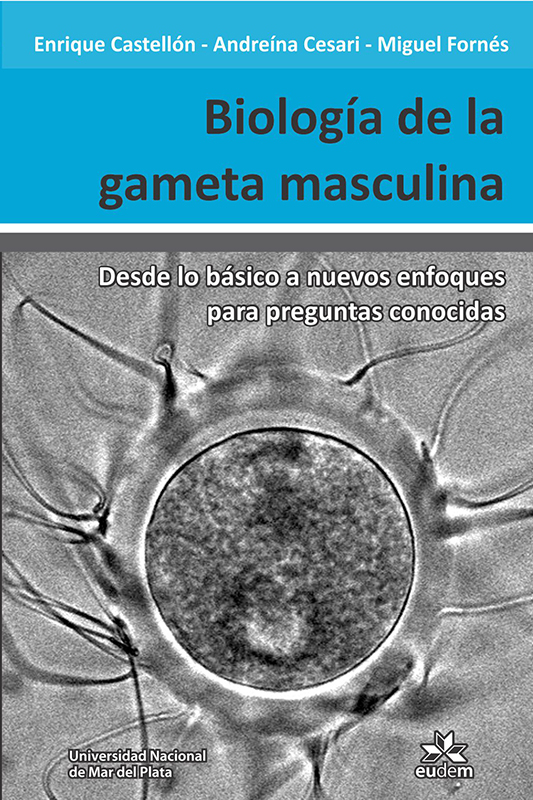 biologia de la gameta masculina